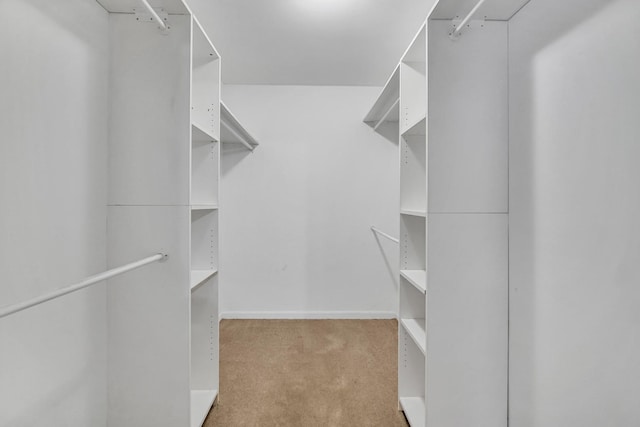 20772 N Elizabeth Ave, Prairie View, IL 60069 - spacious closet with carpet