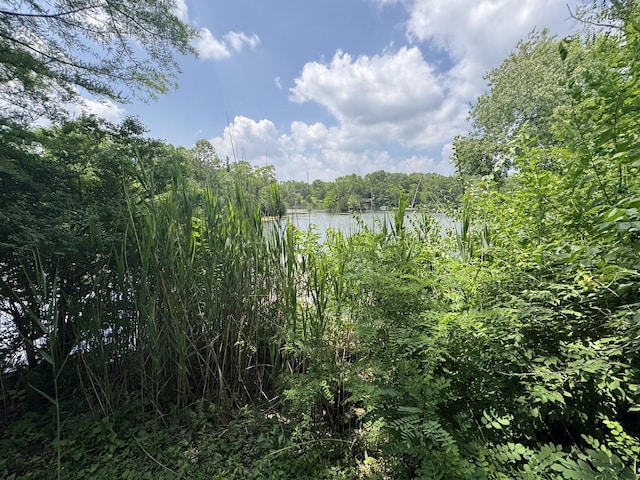 310 Eagle Bluff Dr, Oakwood, IL 61858 - water view with a heavily wooded area