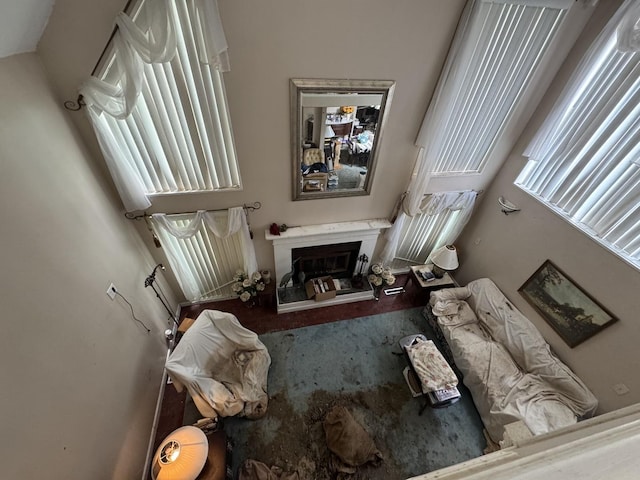 310 Eagle Bluff Dr, Oakwood, IL 61858 - living area featuring a glass covered fireplace and carpet flooring