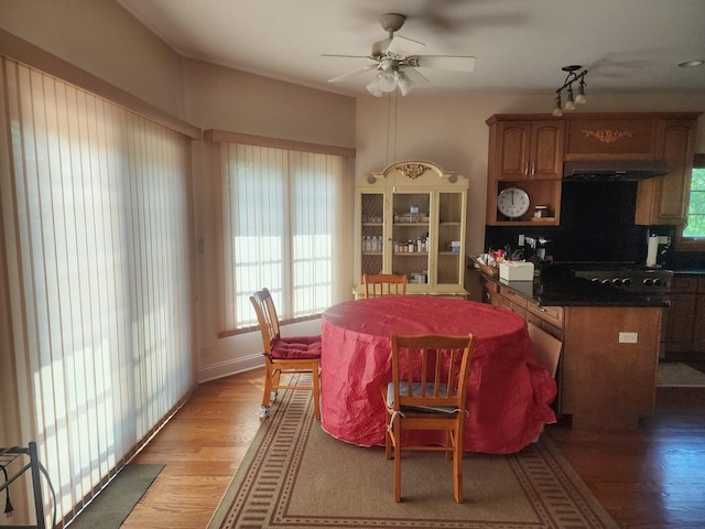 505 Huber Ln, Glenview, IL 60025 - photo 16