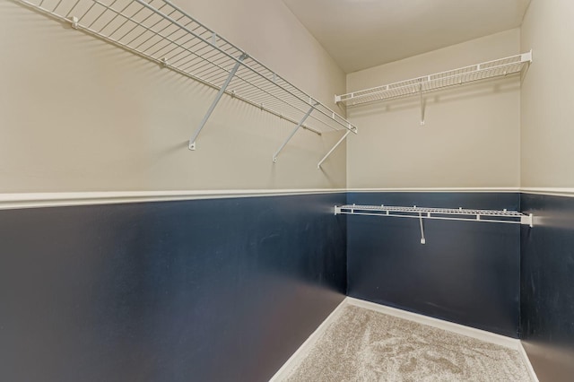 504 Lancaster Dr, Pingree Grove, IL 60140 - walk in closet with carpet