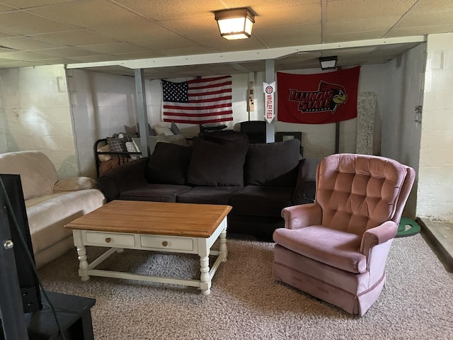 117 Church St, Manteno, IL 60950 - photo 13