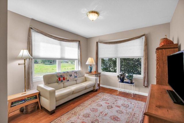 1906 Lydia Ct Unit A, Urbana, IL 61802 - living room featuring plenty of natural light and wood finished floors