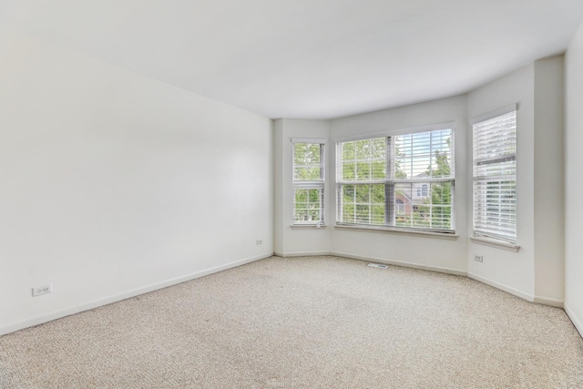 1855 Apple Valley Dr, Wauconda, IL 60084 - photo 24