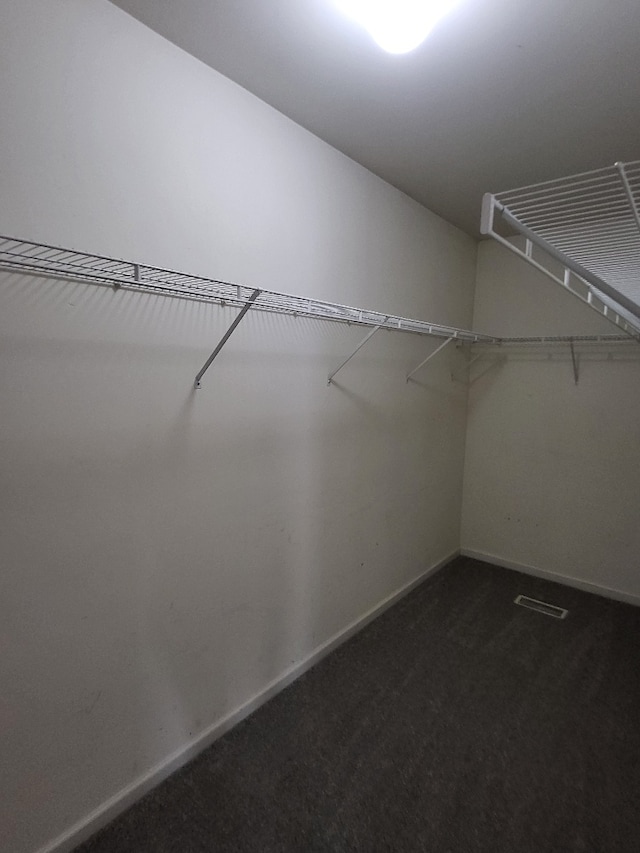 2949 Brossman St, Naperville, IL 60564 - walk in closet with dark carpet