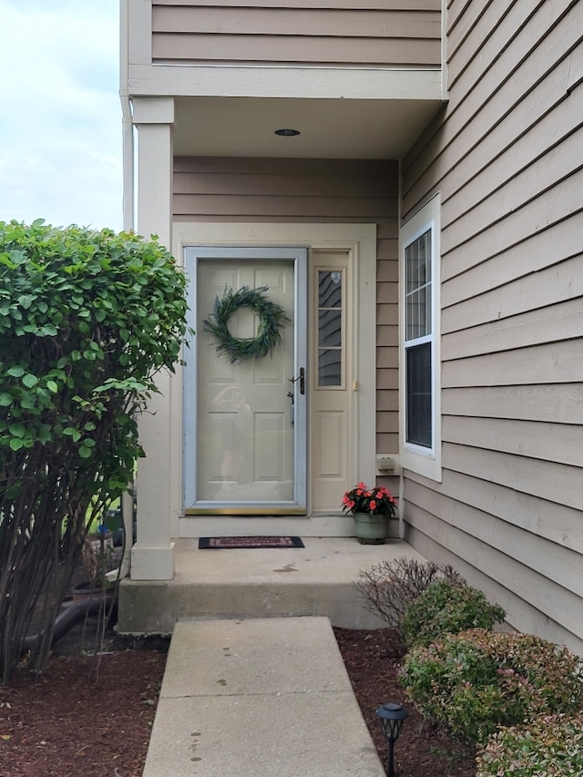 2949 Brossman St, Naperville, IL 60564 - view of exterior entry
