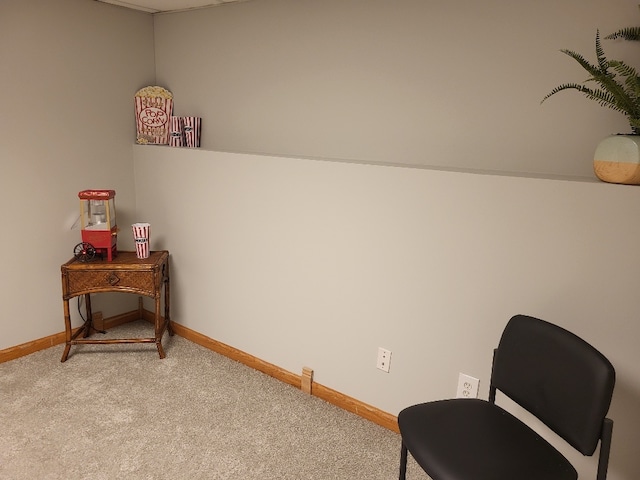 2949 Brossman St, Naperville, IL 60564 - sitting room featuring light carpet and baseboards