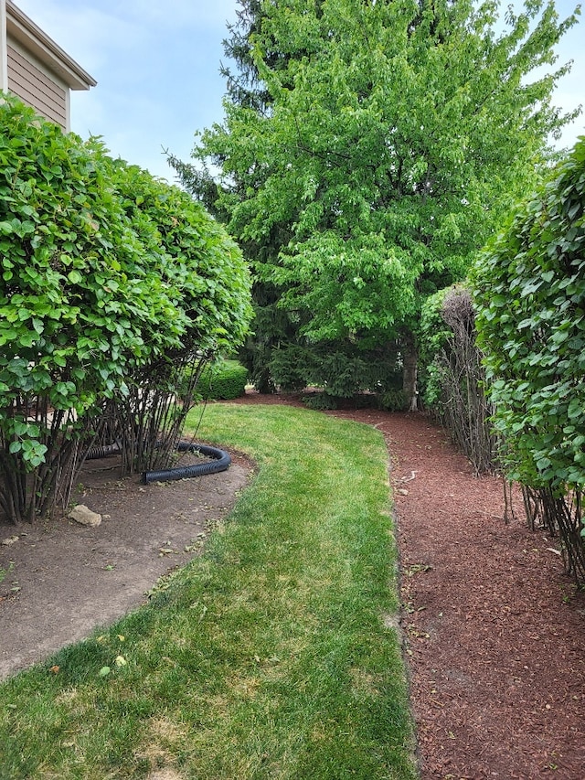 2949 Brossman St, Naperville, IL 60564 - view of grassy yard