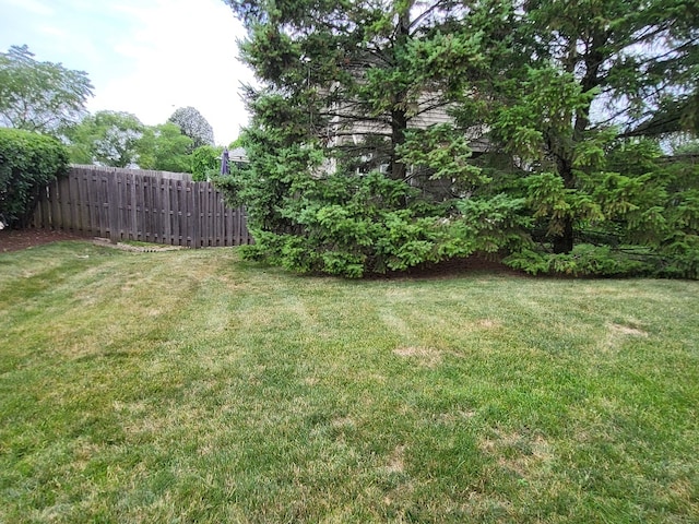 2949 Brossman St, Naperville, IL 60564 - view of yard