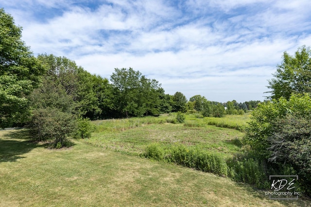 561 Sudbury Cir, Oswego, IL 60543 - view of tree filled area