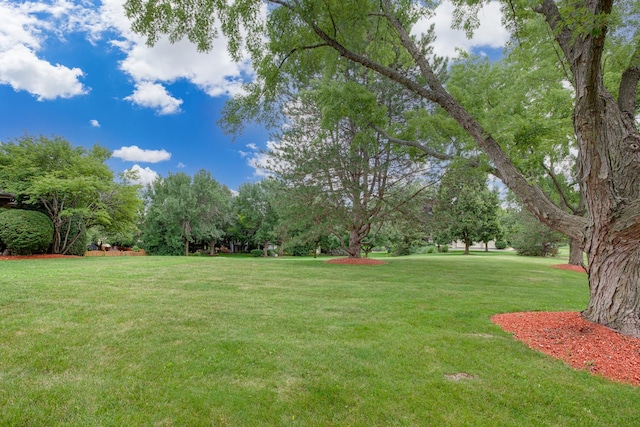 29W354 Beech Ct, West Chicago, IL 60185 - photo 24