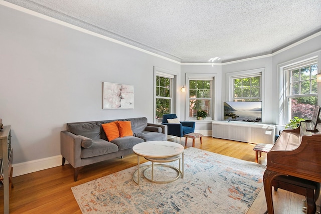542 W Brompton Ave Unit 1S, Chicago, IL 60657 - living area featuring radiator, crown molding, a textured ceiling, and light wood-style floors