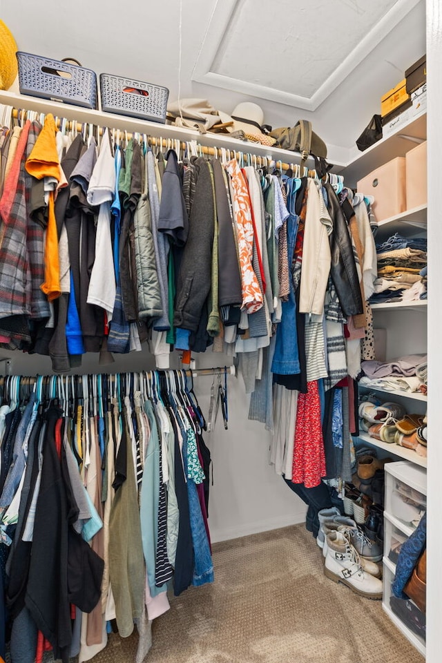 2408 Danbury Dr Unit A2, Woodridge, IL 60517 - walk in closet featuring carpet flooring