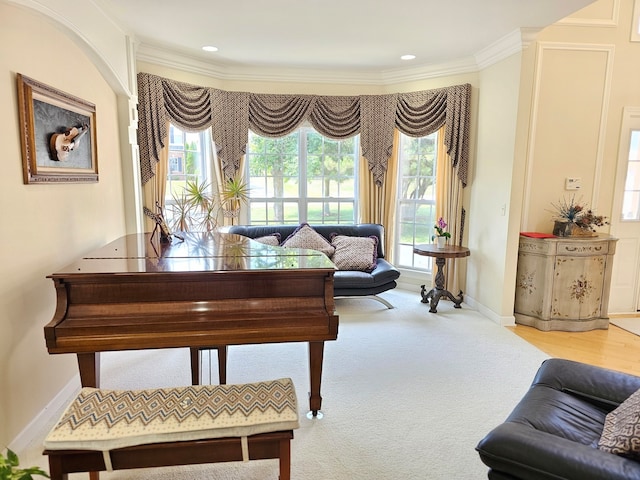 4 Forest View Dr, Hawthorn Woods, IL 60047 - living area featuring plenty of natural light, crown molding, recessed lighting, and carpet floors