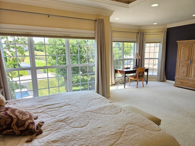 4 Forest View Dr, Hawthorn Woods, IL 60047 - bedroom with carpet flooring, ornamental molding, and recessed lighting