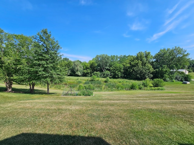 4 Forest View Dr, Hawthorn Woods, IL 60047 - view of green lawn