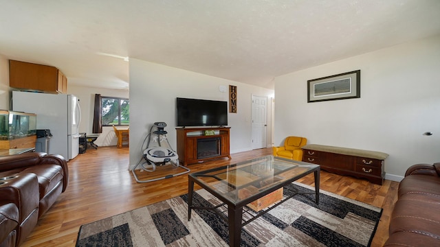 7837 Wagon Wheel Ln, Rockford, IL 61109 - living room with light wood-type flooring and a fireplace