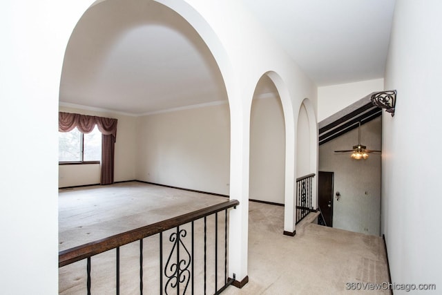 3273 Drew St, Downers Grove, IL 60515 - photo 14