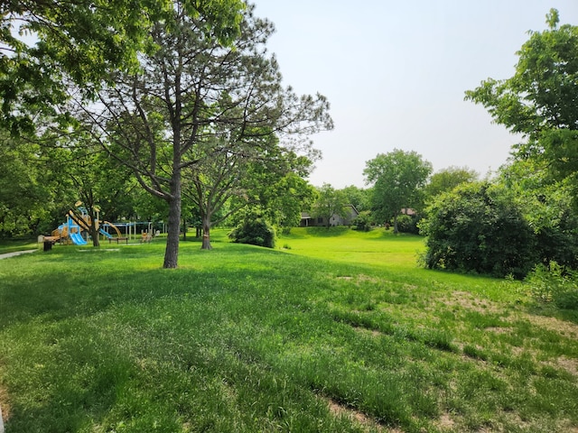 3273 Drew St, Downers Grove, IL 60515 - photo 50