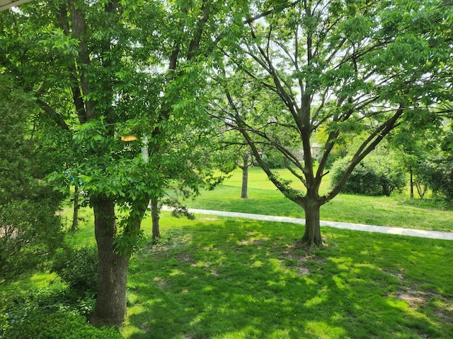 3273 Drew St, Downers Grove, IL 60515 - photo 51