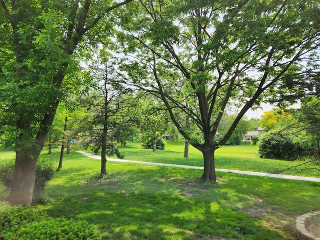 3273 Drew St, Downers Grove, IL 60515 - photo 52