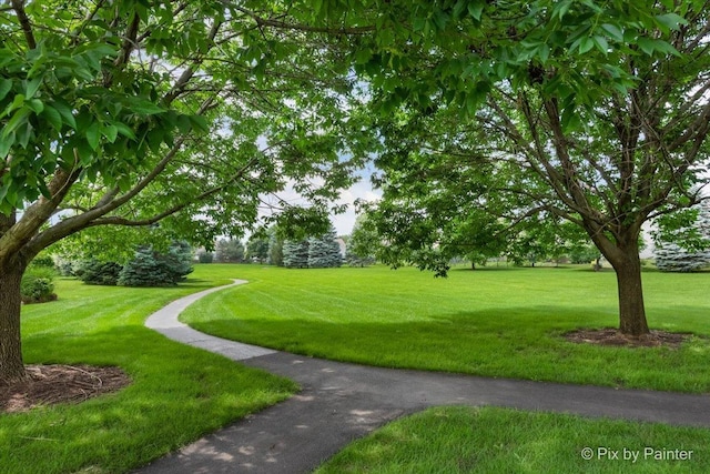 377 Sterling Cir, Cary, IL 60013 - photo 46