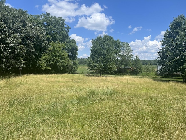 6130 N Jeffrey Ln, Oregon, IL 61061 - view of local wilderness
