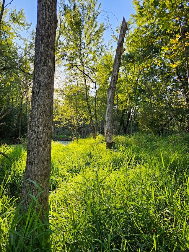 21820 W Railroad St, Marengo, IL 60152 - view of local wilderness
