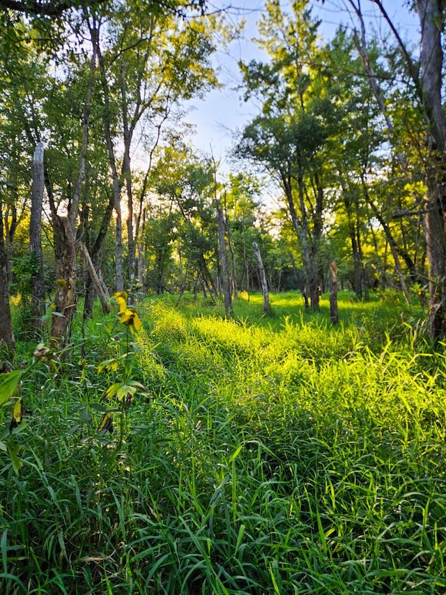 21820 W Railroad St, Marengo, IL 60152 - view of undeveloped land