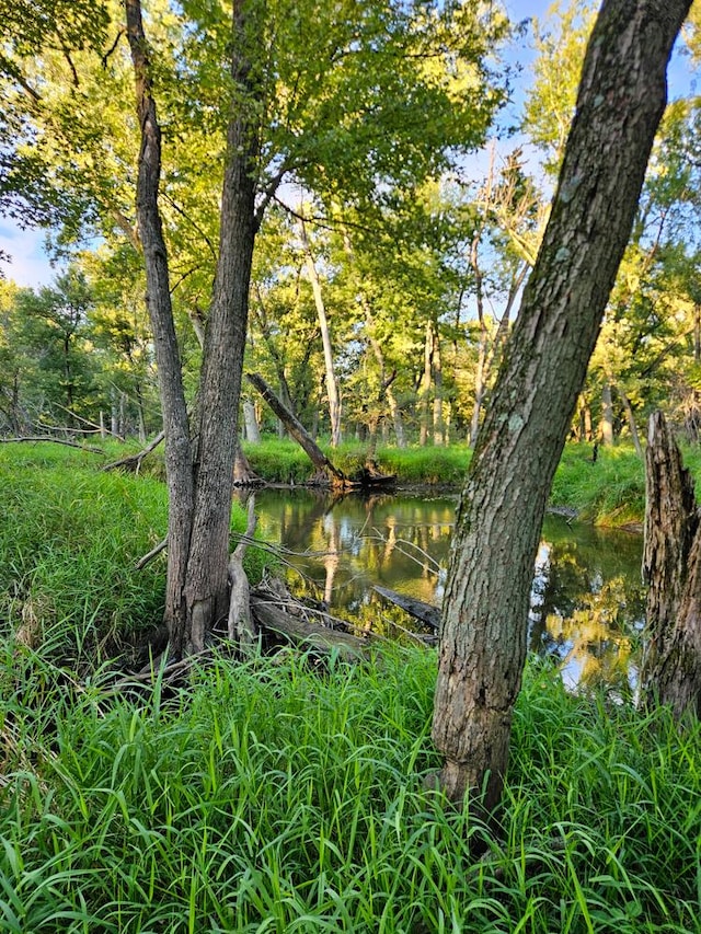 21820 W Railroad St, Marengo, IL 60152 - view of nature