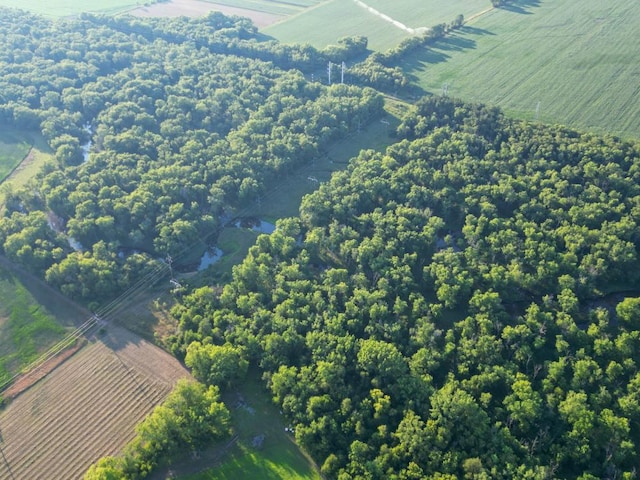 21820 W Railroad St, Marengo, IL 60152 - aerial view of sparsely populated area featuring abundant farmland