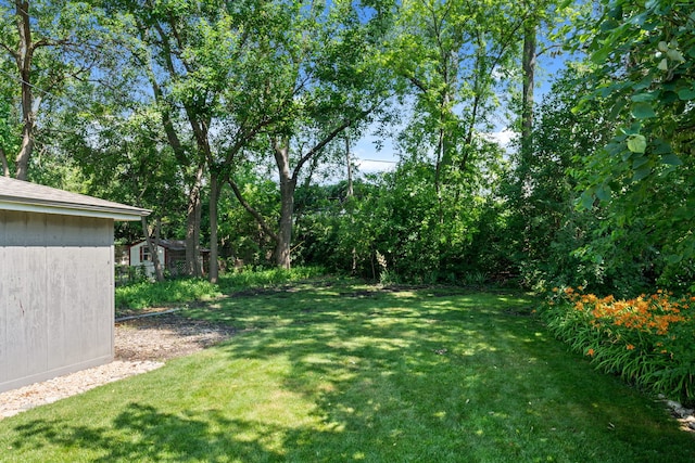 505 W Alexander Blvd, Elmhurst, IL 60126 - view of green lawn featuring an outbuilding