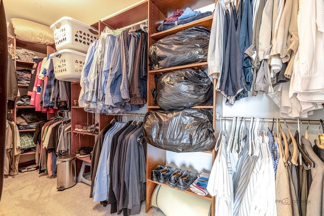 330 Greenview Ln, Lake Villa, IL 60046 - spacious closet with carpet flooring
