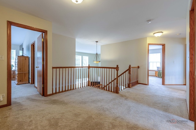 330 Greenview Ln, Lake Villa, IL 60046 - hallway featuring an upstairs landing and carpet