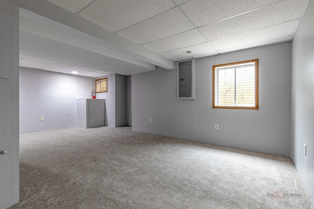 330 Greenview Ln, Lake Villa, IL 60046 - basement featuring a drop ceiling, electric panel, and carpet floors