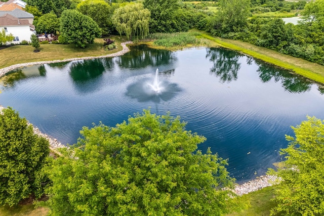 330 Greenview Ln, Lake Villa, IL 60046 - drone / aerial view of a large body of water