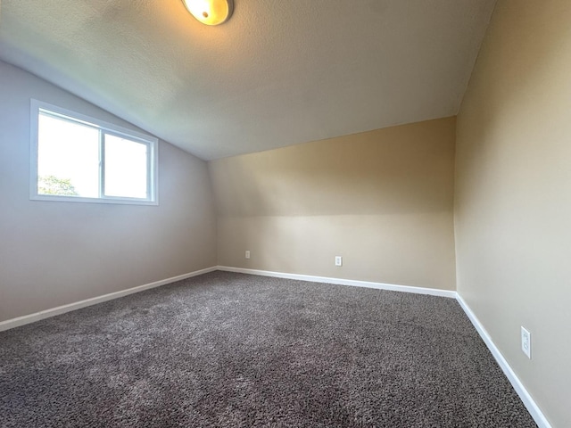428 W Williams St, Kankakee, IL 60901 - additional living space with vaulted ceiling, dark carpet, and a textured ceiling