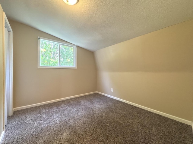 428 W Williams St, Kankakee, IL 60901 - bonus room with lofted ceiling, carpet flooring, and a textured ceiling