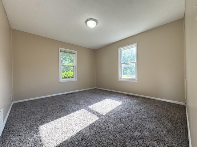 428 W Williams St, Kankakee, IL 60901 - empty room featuring plenty of natural light and carpet floors