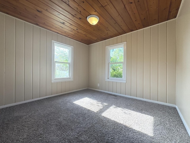 428 W Williams St, Kankakee, IL 60901 - empty room with carpet and wood ceiling