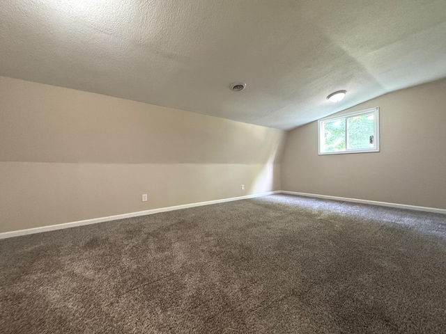 428 W Williams St, Kankakee, IL 60901 - additional living space with a textured ceiling, lofted ceiling, and dark carpet