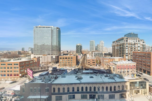 757 N Orleans St Unit 907, Chicago, IL 60654 - view of city