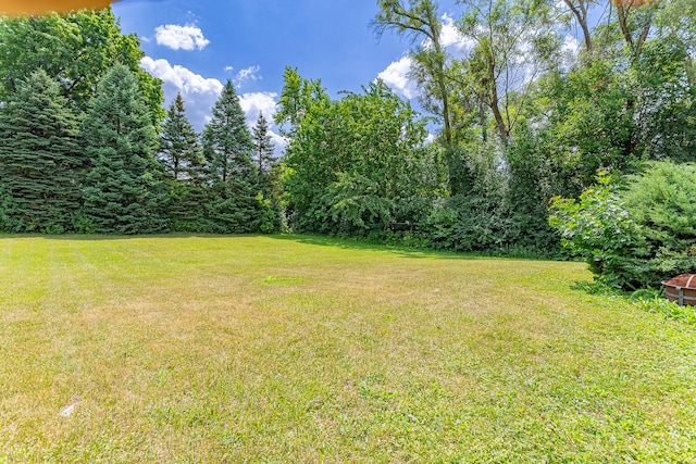 1481 Bloomingdale Rd, Glendale Heights, IL 60139 - view of green lawn