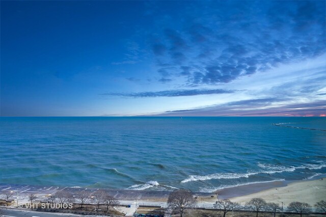 1150 N Lake Shore Dr Unit 17F, Chicago, IL 60611 - photo 22