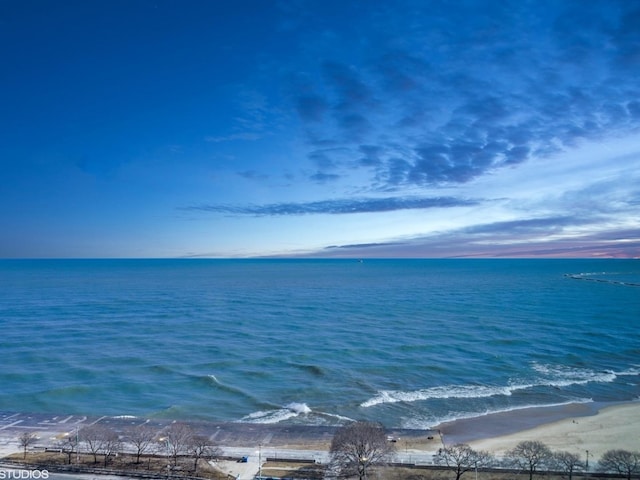 1150 N Lake Shore Dr Unit 17F, Chicago, IL 60611 - photo 30