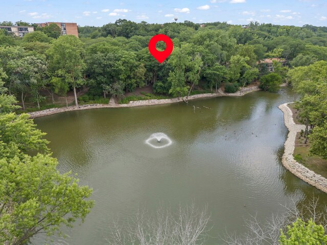 6017 Forest View Rd Unit 3-C, Lisle, IL 60532 - photo 18