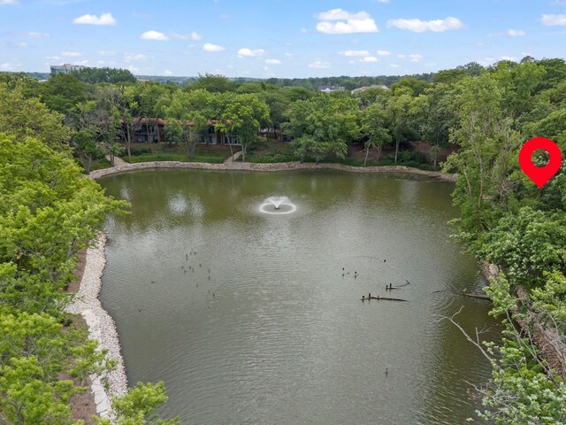 6017 Forest View Rd Unit 3-C, Lisle, IL 60532 - photo 20