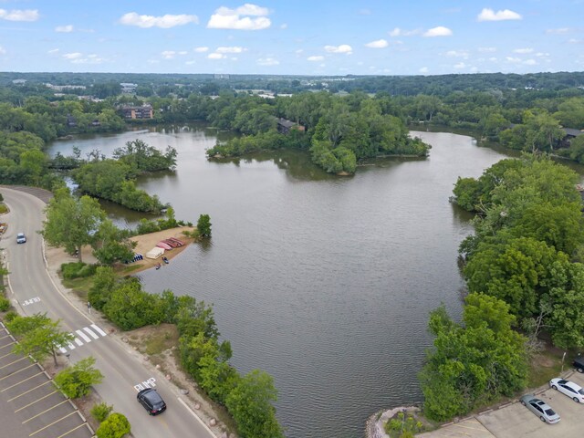 6017 Forest View Rd Unit 3-C, Lisle, IL 60532 - photo 26