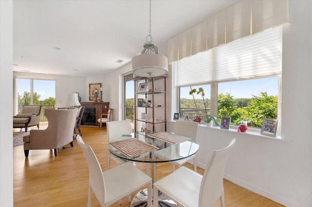 1700 Riverwoods Dr Unit 520, Melrose Park, IL 60160 - dining space with light wood finished floors and baseboards