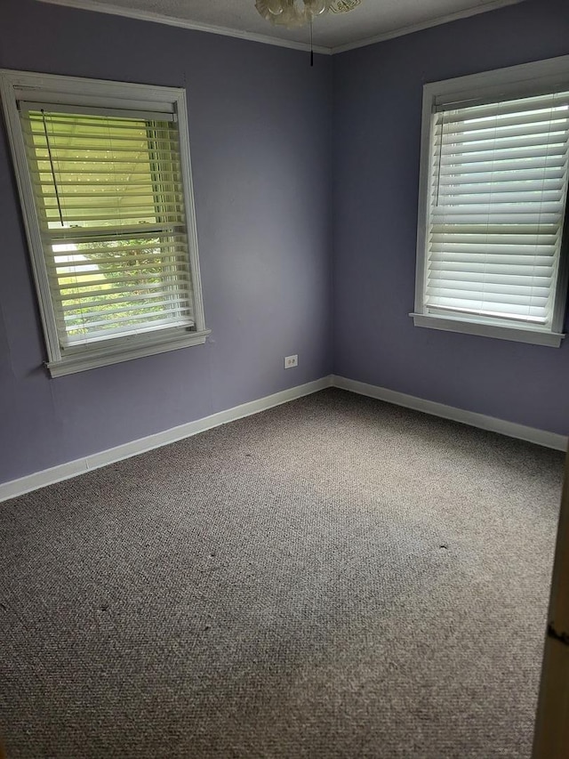3021 N Prater Ave, Melrose Park, IL 60164 - spare room with ornamental molding, carpet, and ceiling fan